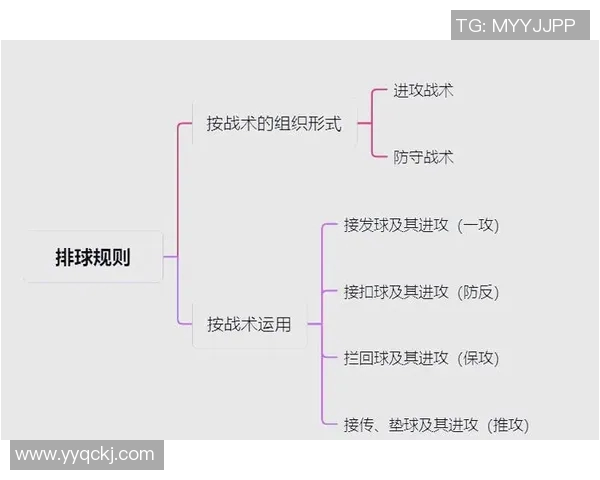 南京排球队进攻战术解析与球队表现的深度剖析
