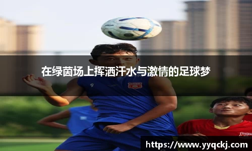 OB电竞电子竞技